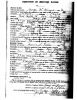 Marriage Certificate of George McKenzie (b. 1869) Marion Falls (1894) Page 2